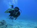 Hawaii Scuba divng 61