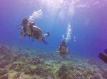 Hawaii Scuba divng 10