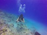 Hawaii Scuba divng 11