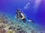 Hawaii Scuba divng 13