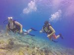 Hawaii Scuba divng 15