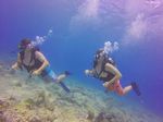 Hawaii Scuba divng 16