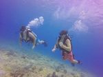 Hawaii Scuba divng 17