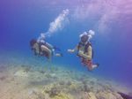 Hawaii Scuba divng 18