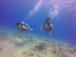 Hawaii Scuba divng 19