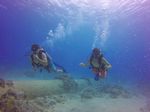 Hawaii Scuba divng 20