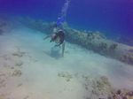 Hawaii Scuba divng 24