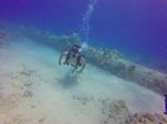 Hawaii Scuba divng 25