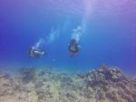 Hawaii Scuba divng 27