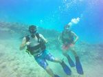 Hawaii Scuba divng 29