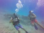 Hawaii Scuba divng 30