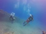 Hawaii Scuba divng 31