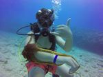 Hawaii Scuba divng 43