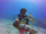 Hawaii Scuba divng 45