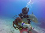 Hawaii Scuba divng 46