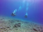 Hawaii Scuba divng 48