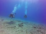 Hawaii Scuba divng 49