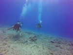 Hawaii Scuba divng 51