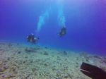 Hawaii Scuba divng 51