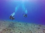 Hawaii Scuba divng 52