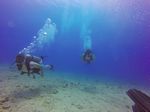 Hawaii Scuba divng 53