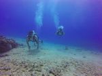 Hawaii Scuba divng 56