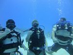 Hawaii Scuba divng 12