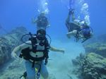 Hawaii Scuba divng 13