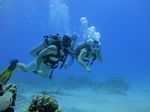 Hawaii Scuba divng 15