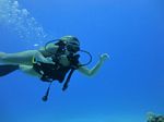 Hawaii Scuba divng 16