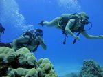 Hawaii Scuba divng 17