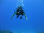 Hawaii Scuba divng 19