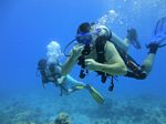 Hawaii Scuba divng 21