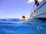 Hawaii Scuba divng 24