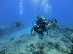 Hawaii Scuba divng 27