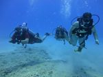 Hawaii Scuba divng 29