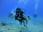 Hawaii Scuba divng 31