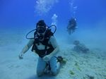 Hawaii Scuba divng 34