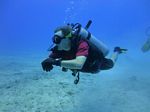 Hawaii Scuba divng 36