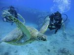 Hawaii Scuba divng 40