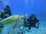 Hawaii Scuba divng 44