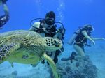 Hawaii Scuba divng 45