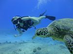 Hawaii Scuba divng 49