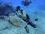 Hawaii Scuba divng 52