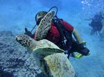 Hawaii Scuba divng 54