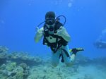 Hawaii Scuba divng 57