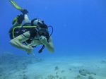 Hawaii Scuba divng 58