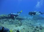 Hawaii Scuba divng 59