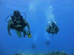 Hawaii Scuba divng 60