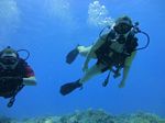 Hawaii Scuba divng 61